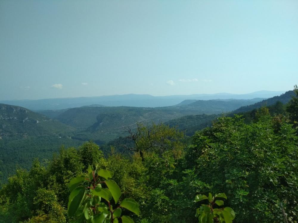 Fantastic land plot for sale in Motovun area with stunning views of Istria 