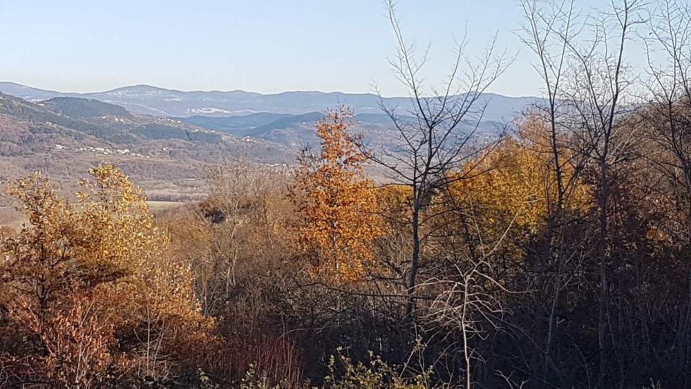 Grundstück mit Panoramablick in Vižinada, 5.261m2 