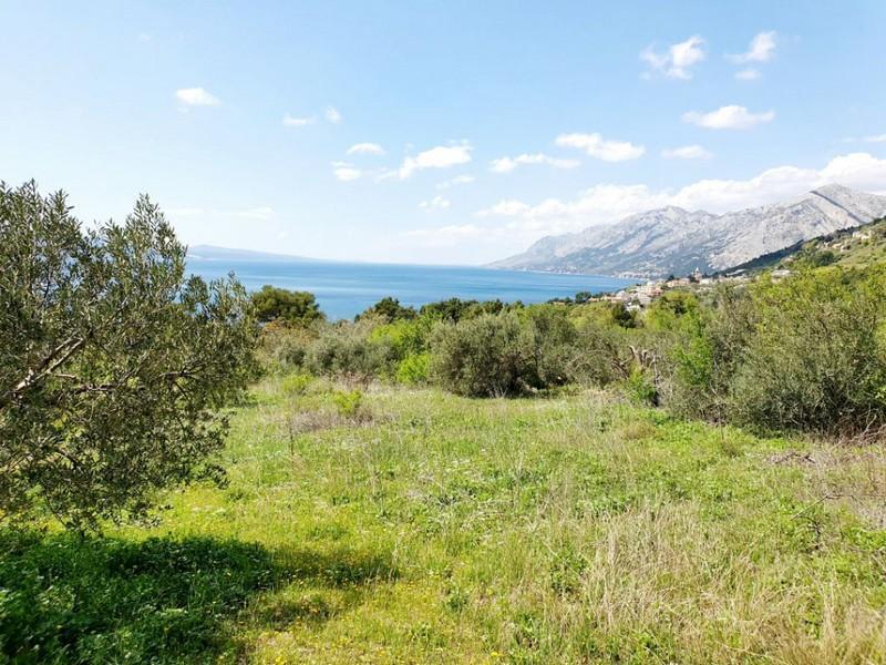 Rare terrain for sale in Brela with sea views, just 240 meters from the sea 