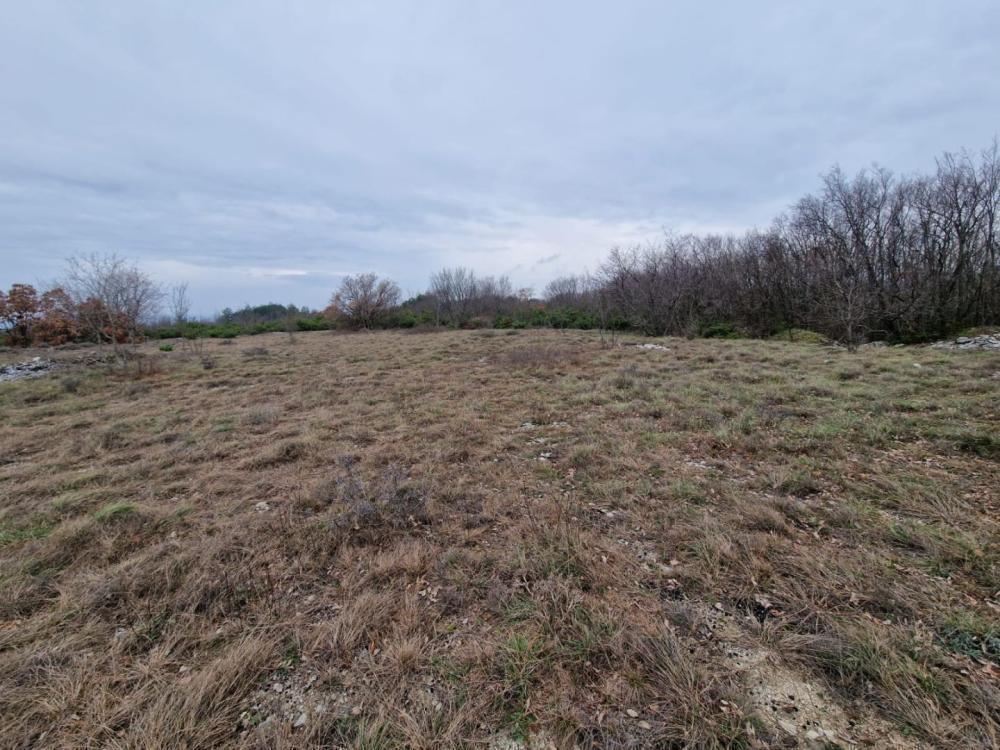 Agro land in Labin are, cca.2 hectares 