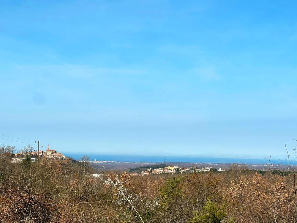 Land for construction in Buje, with wonderful sea views 