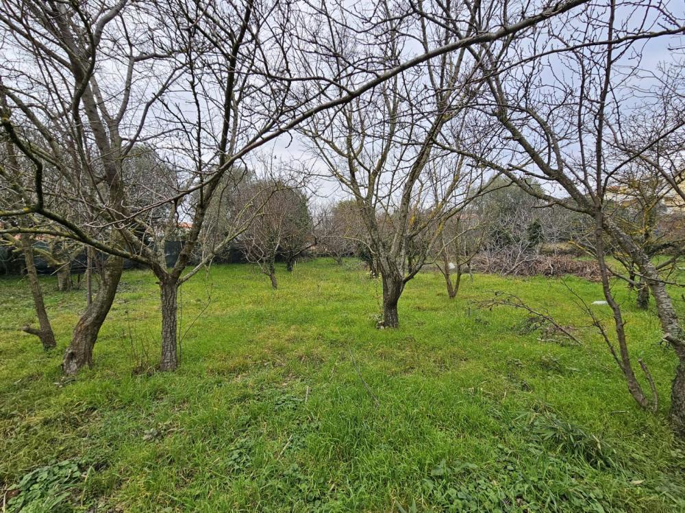 Land plot in Medulin, 1,5 km from the sea 