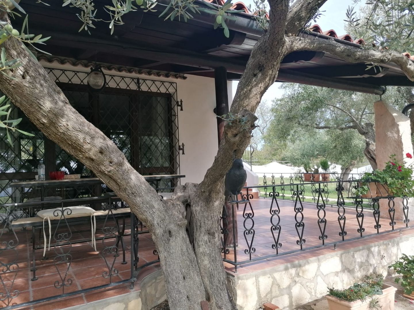 A unique rustic house with a view of the Brijuni Islands in Galizana, for sale! A unique rustic house with a view of the Brijuni Islands in Galizana, for sale!