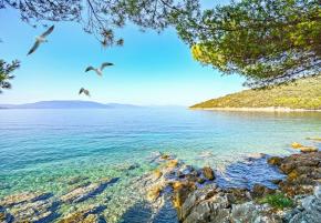Land plot on Cres just 100 meters from the sea with turn-key solution for lux villa 