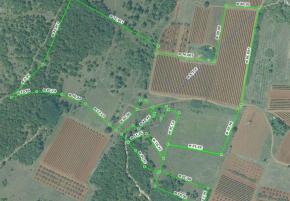 Large plot of land with possibility to construct lux villas, Brtonigla area 