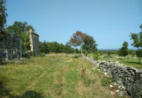 Estate with two stone ruins in Buje area 