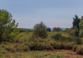 Urbanized land for sale in Premantura with sea view from the ground floor 