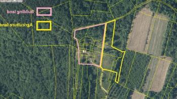 Gorgeous land plot for sale in Buje area with distant sea view 