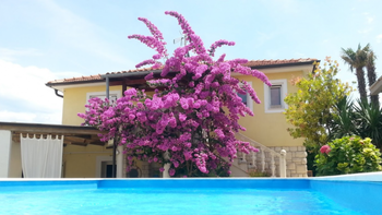 Two houses with pool in Premantura, Medulin 