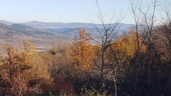 Terrain avec vue panoramique à Vižinada, 5.261m2 