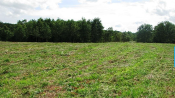 Großes landwirtschaftliches Grundstück in Labin, 83500 qm. 