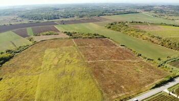 Geräumiges landwirtschaftliches Grundstück zum Verkauf in der Gegend von Buje, 83.917 m2 