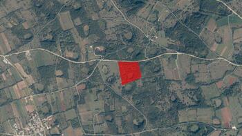 Agricultural land for sale in Svetvinčenat, 28.800m2 