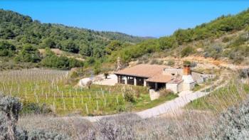 Fantastique propriété avec une maison et des vignes sur l&#39;île de Vis 