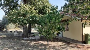 House in Bužinija, Novigrad area 