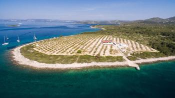 One and only isolated island villa with olive grove of 47500 sq.m. of land, mooring and absolute privacy 