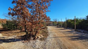 Prodej nemovitosti v Smoljanci, Svetvinčenat, 27.000 m2 