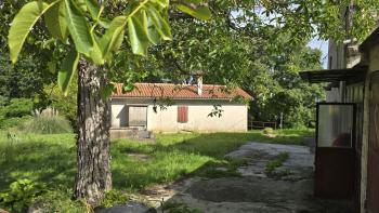 Spacious property with 3 houses and 18,500 m2 of land in Labin area, for sale 