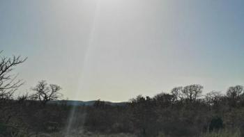 Land for sale - great opportunity in Smoljanci, Svetvinčenat, over 1 ha 