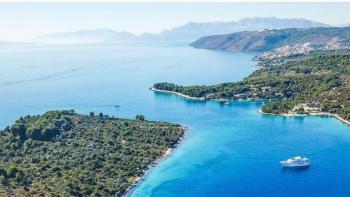 Terrain urbanisé à vendre de 10 000 m² à seulement 150 m de la mer 