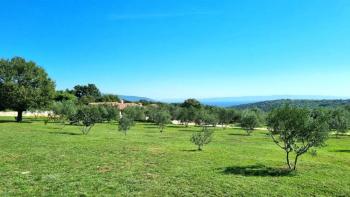 Impressive estate in Krnica, Marčana, with sea views 