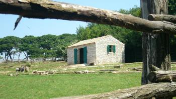 Hypothec (mortgage) has become possible in Croatia for a luxury project in Umag area