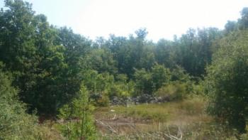 Agricultural land for sale in Ripenda Kras in Labin area, 56.000m2 