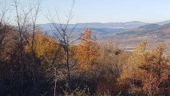 Land with panoramic views in Vižinada, 5.261m2 