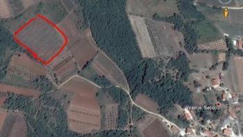 Great land plot for sale in Visinada with sea views 