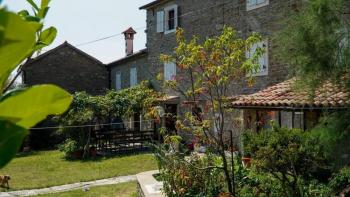 Authentic stone house in Buje 