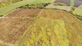Spacious land plot for sale in Buje area, agricultural purpose, 39.178m2 