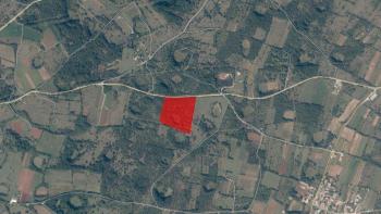 Agricultural land for sale in Svetvinčenat, 28.800m2 