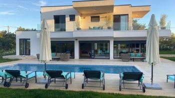 Dramatically attractive villa with pool near Porec 