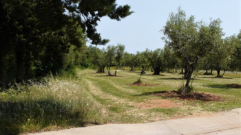 Building land 3000 m2, Vabriga 