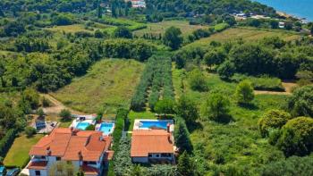 Property on the first construction line in Premantura, on 2500 sq.m. of land, 400 meters from the sea 