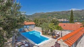 Castello near Dubrovnik with 7 apartments 