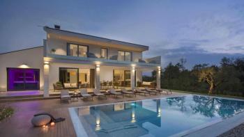 Marvellous new built villa in Porec area 