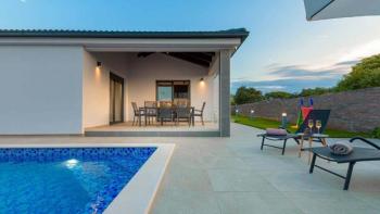 Newly built villa with swimming pool in Loborika 