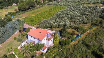 Huge estate in Medulin - paradise with sea views within walking distance from the sea! 