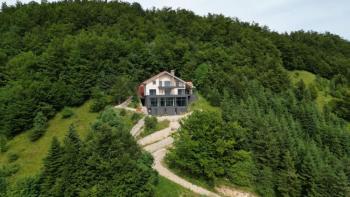 Luxury villa with 20,000 m2 territory in Crni Lug 