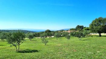 Impressive estate in Krnica, Marčana, with sea views 