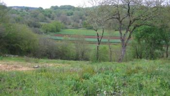 Spacious urban land in Matohanci, Kanfanar 