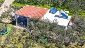 Samostatně stojící dům v oblasti Starigrad na ostrově Hvar s olivovým polem 