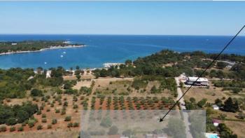 Three similar luxury villas in Porec area only 250 meters from the sea, 1st construction line to the sea 