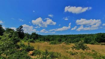 Combinaison de terrains agricoles et urbains dans la région de Buje, sur 1 ha 