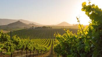 Domaine viticole établi avec 30 ha de vignes 