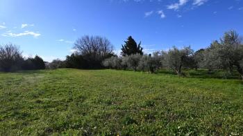Land in Medulin, only 400 meters from the sea 