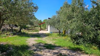  Přízemní dům v olivovém háji 400 m od moře v oblasti města Krk 