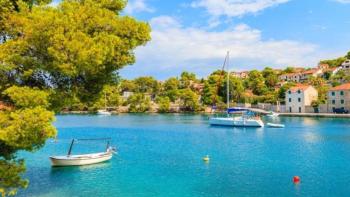 Large farm land with olive grove in Splitska,Brac 