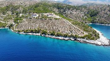 Deux villas fantastiques nouvellement construites sur l'île de Brac, en première ligne face à la mer sur un immense terrain avec un oliveraie, à vendre 